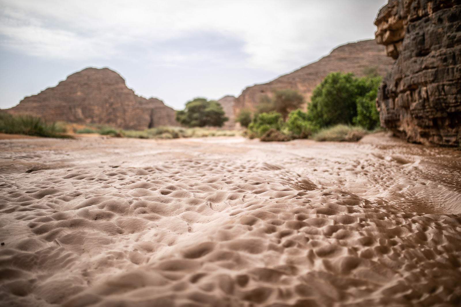 Human & Nature  outoftime 112